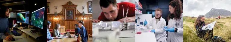 various images of researchers in  different settings 