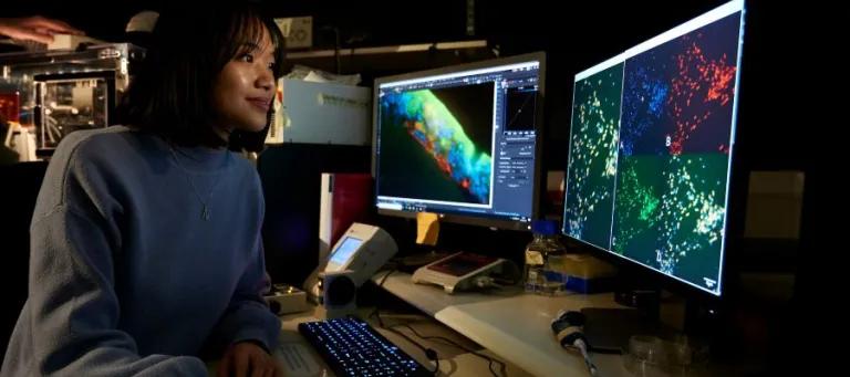 Student looking at research on two screens